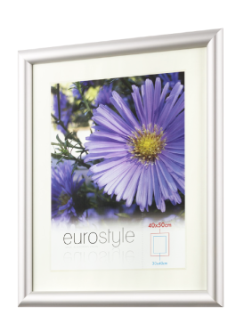 Eurostyle 40x50cm silver photo frame with white mount and purple flower print