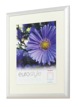 Silver Eurostyle photo frame with cream mat and purple flower picture