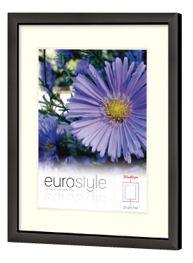 Black Eurostyle picture frame with a white mount and a purple flower photo