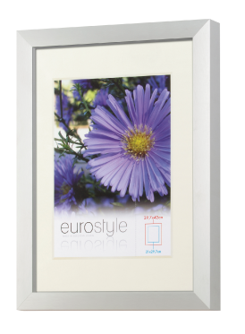 Silver Eurostyle picture frame with a white mount and a purple flower image