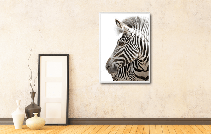 Aluminium Poster Frame in silver matt color, with poster of zebra, placed in light colours interior. Picture frame producer Debex Suisse.