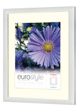 Eurostyle white picture frame with cream mat and purple flower display