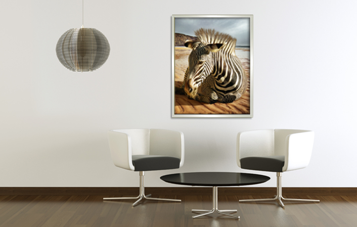 Hliníkový obrazový rám Sideloader v lesklej striebornej farbe, s plagátom zebry v savane, umiestnený v interiéri. Výrobca obrazových rámov Debex Suisse.